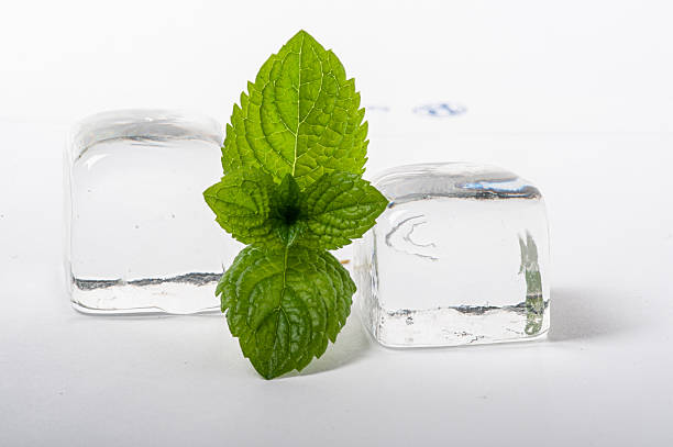 Purely Mint & Menthol